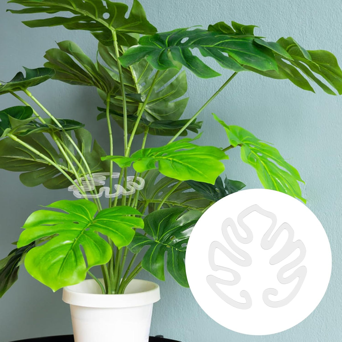 Transparent acrylic plant stake in the shape of a Monstera leaf | Invisible stem support for indoor potted plants ๐ฟ