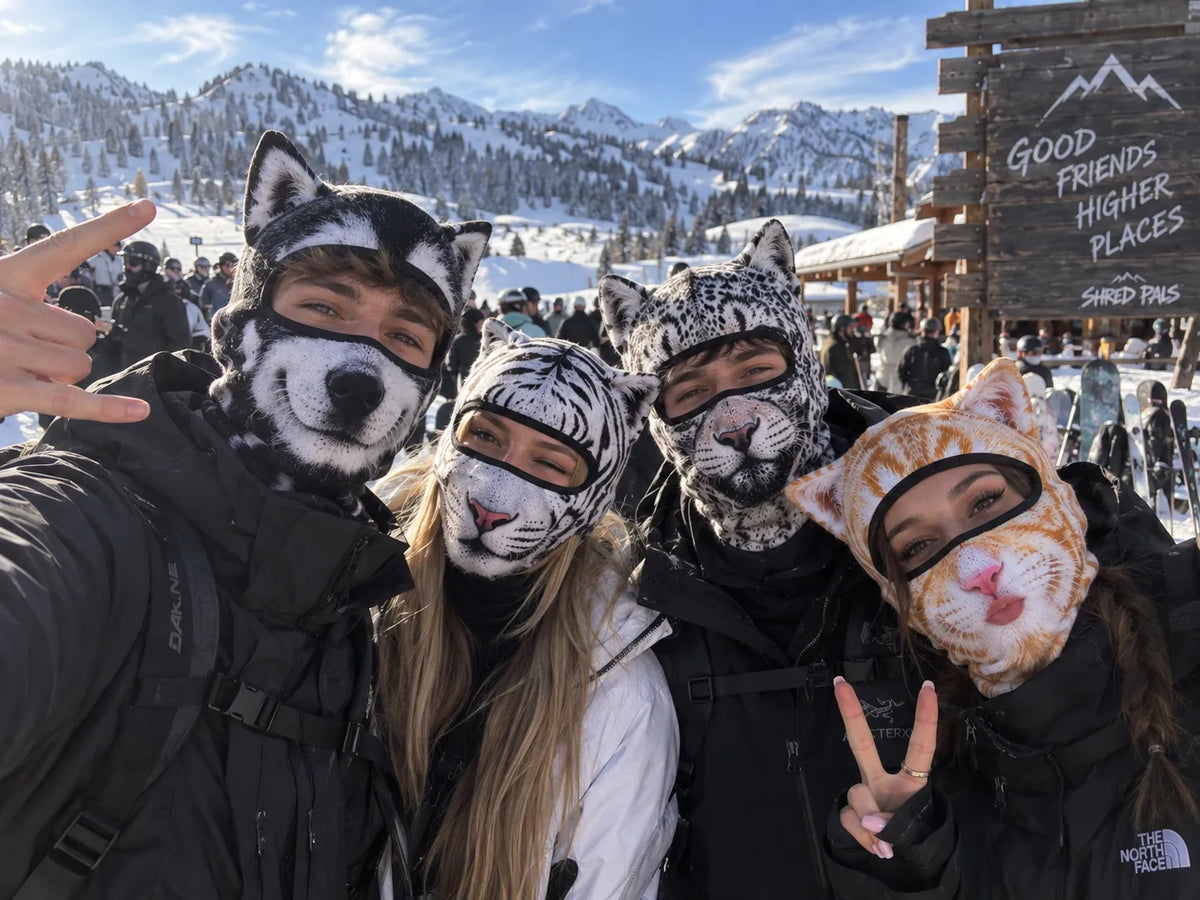 🔥🐱3D Cat Ski Balaclava Face Mask with Ears Animal Mask