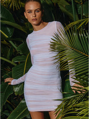 Mesh Sheer Dress With Full Sleeves