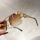 Gold Animal Rimless SunGlasses 4