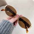 Oval Metal Rim And Sides Sunglasses – Gold Tea 10