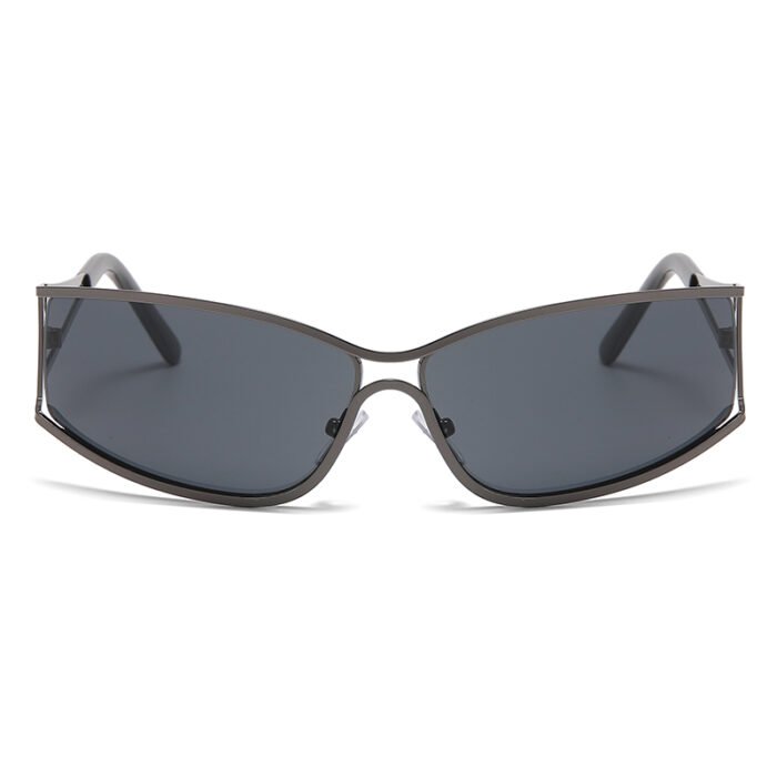 Silver Rim Sunglasses 3