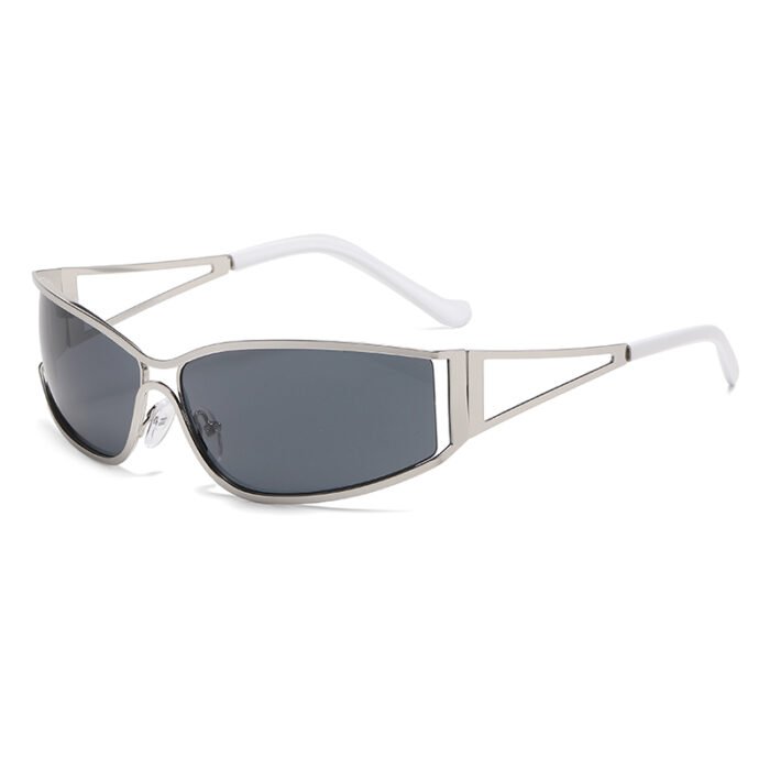 Silver Rim Sunglasses – c06 4