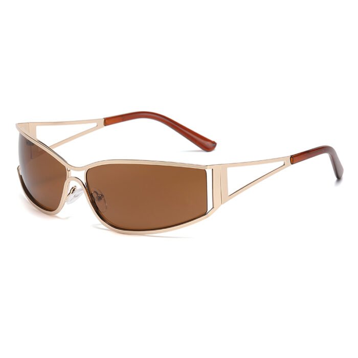 Silver Rim Sunglasses – c05 5