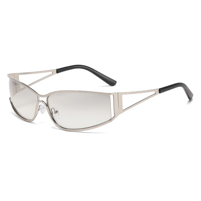 Silver Rim Sunglasses – c04 6