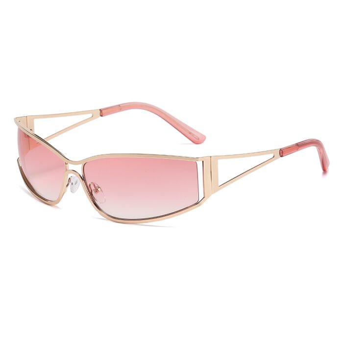 Silver Rim Sunglasses – c02 7