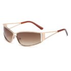 Silver Rim Sunglasses – c03 8