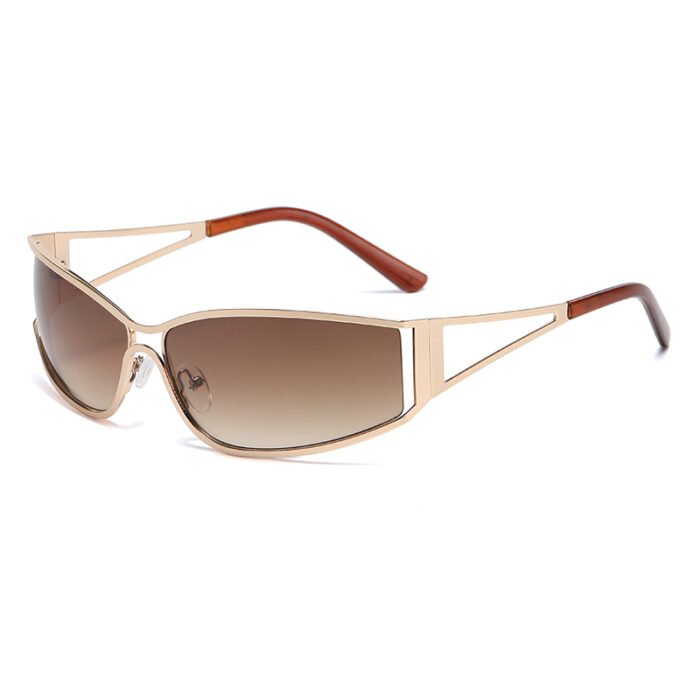 Silver Rim Sunglasses – c03 8