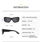 Wrap Around Tined Thick SunGlasses 5